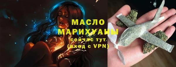 сатива Покачи
