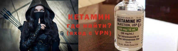 сатива Покачи