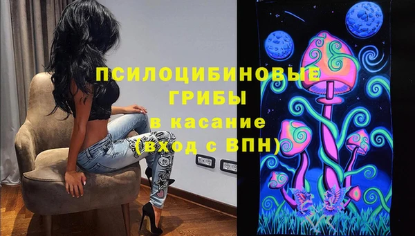сатива Покачи