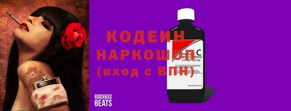сатива Покачи