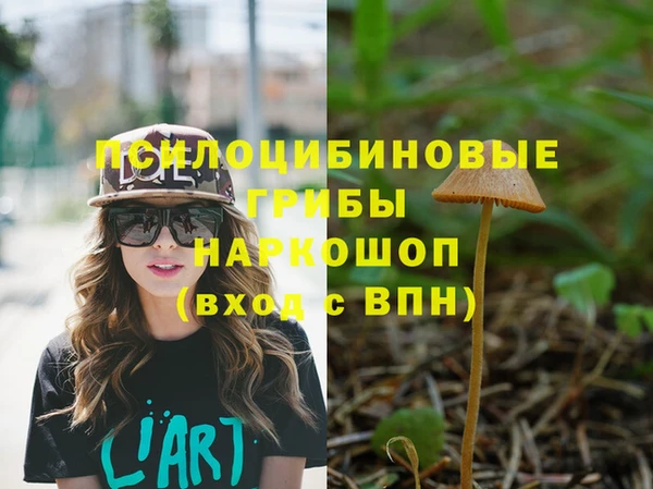 сатива Покачи