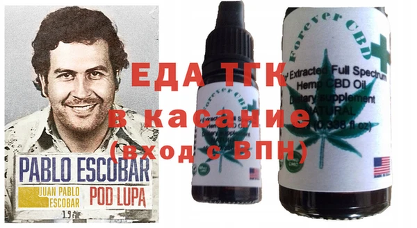 сатива Покачи
