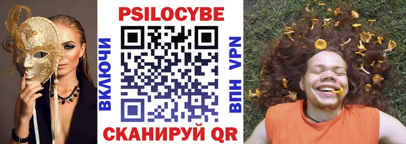 Псилоцибиновые грибы Psilocybe  Короча 